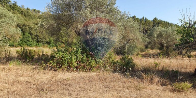 20250828195729-975849-2