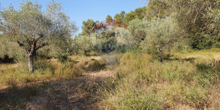 20250828195733-975849-3