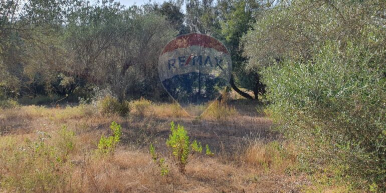 20250828195738-975849-4