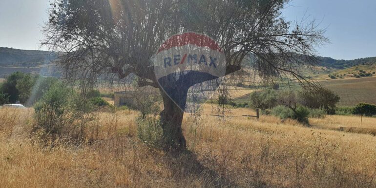 20250828195742-975849-5