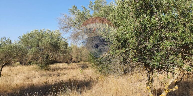 20250828195746-975849-6