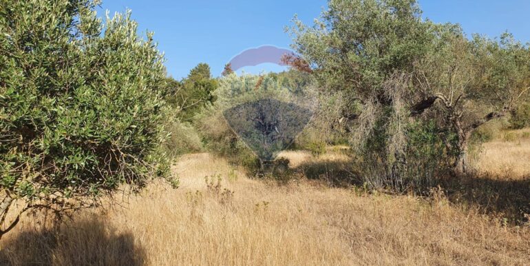 20250828195751-975849-7