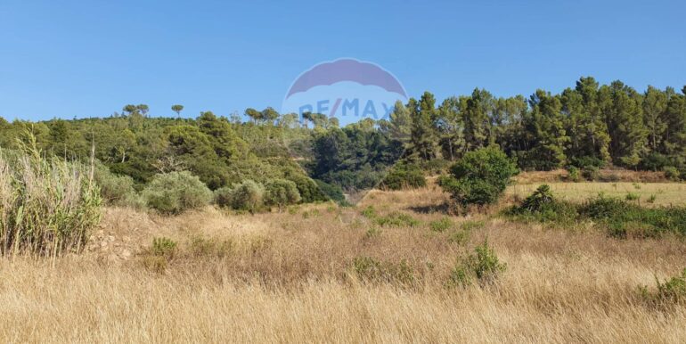 20250828195755-975849-8