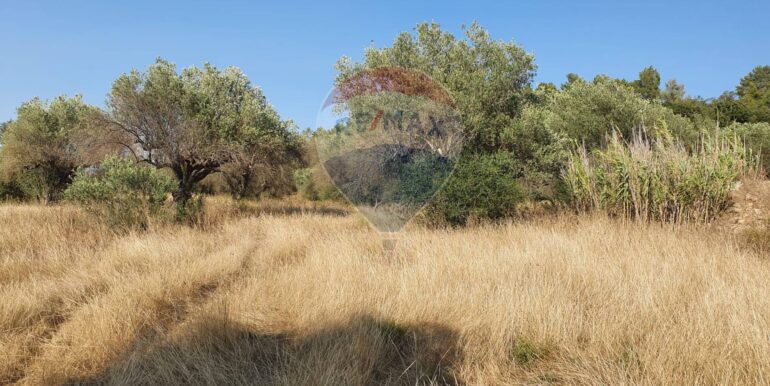 20250828195759-975849-9