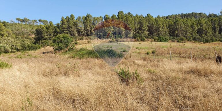 20250828195811-975849-12