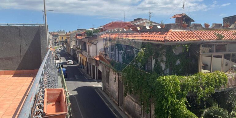 2025090781102-979645-1