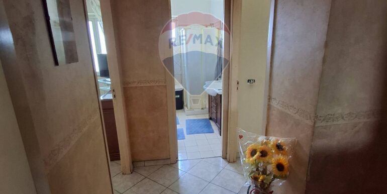 20250908113018-977978-4