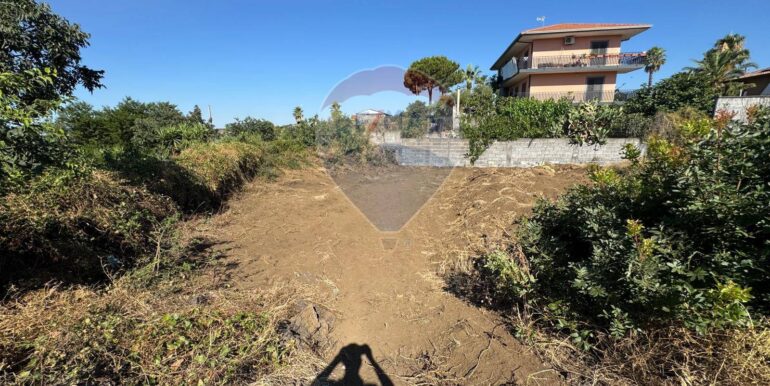 20250910185828-981343-5