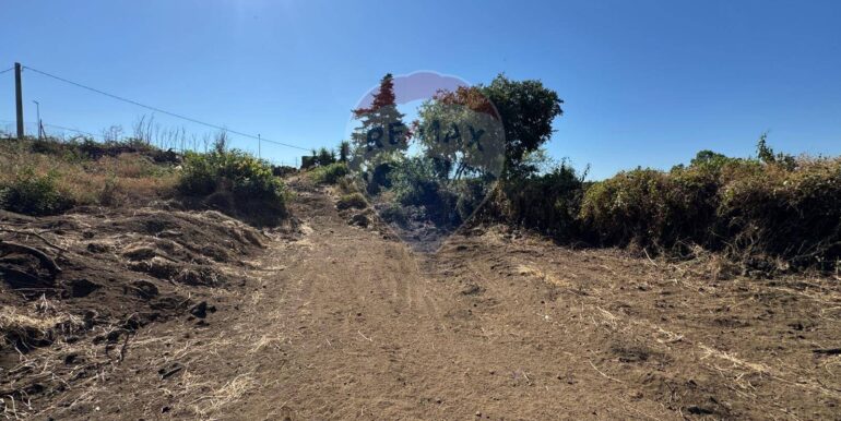 20250910185833-981343-6