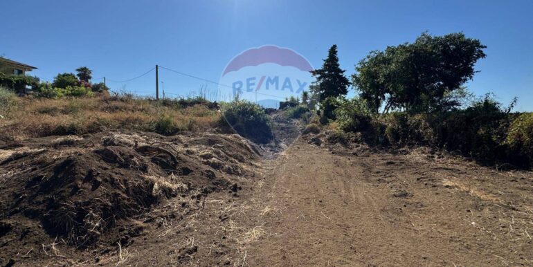 20250910185843-981343-8