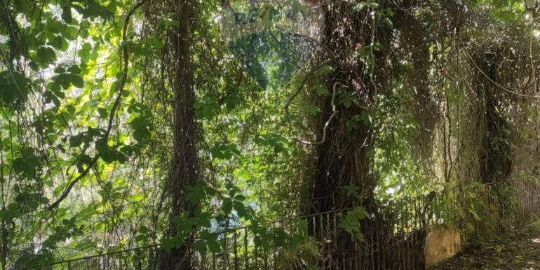 20250914170745-982826-22