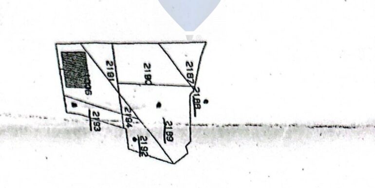 2025091700139-974236-24