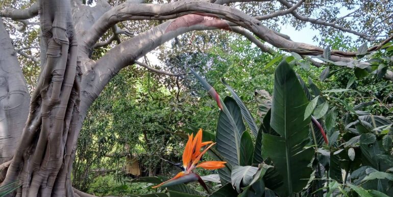 20250917102446-982826-41