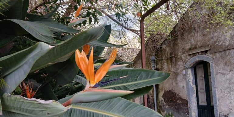 20250917102450-982826-42