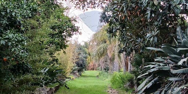 20250917102454-982826-43