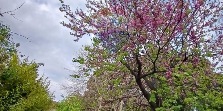 20250917102458-982826-44