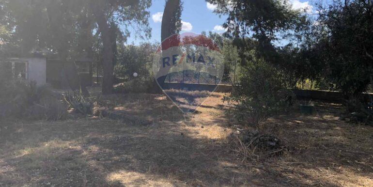 20250920164927-986066-6