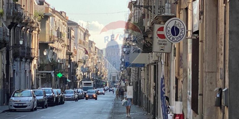 2025092295045-985840-1