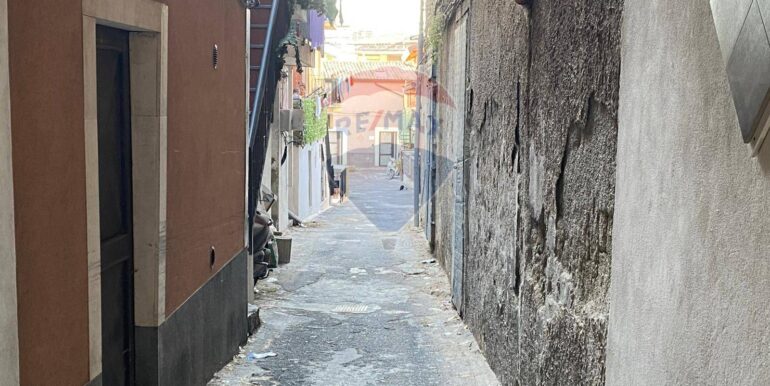 2025092295052-985840-3