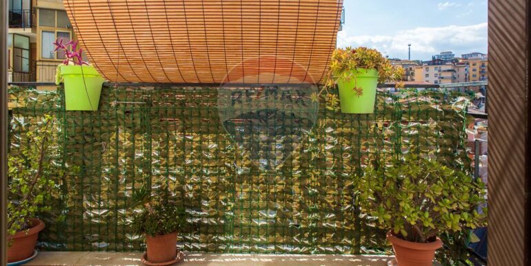 20250923115616-986443-15