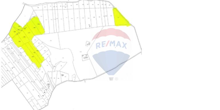 2025092384136-975371-4