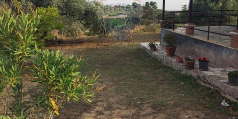 20250924165026-987055-3