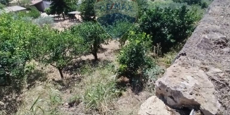 20250925124118-987653-4