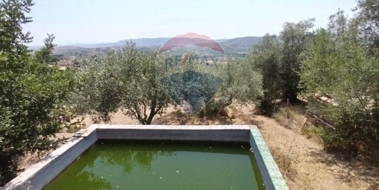 20250925124124-987653-6