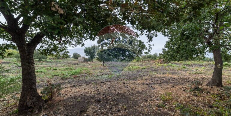 20250925224518-987796-1