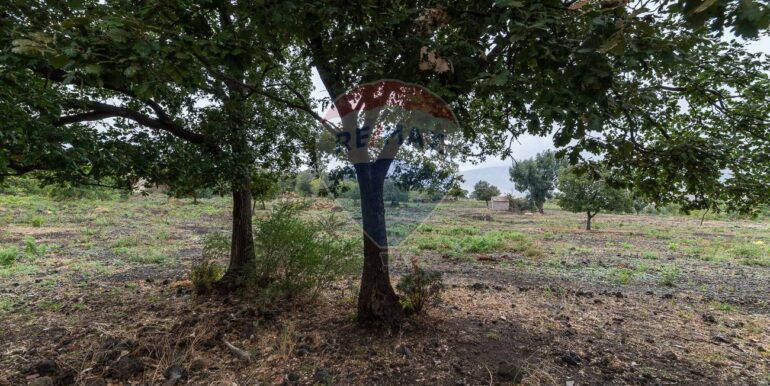 20250925224523-987796-2