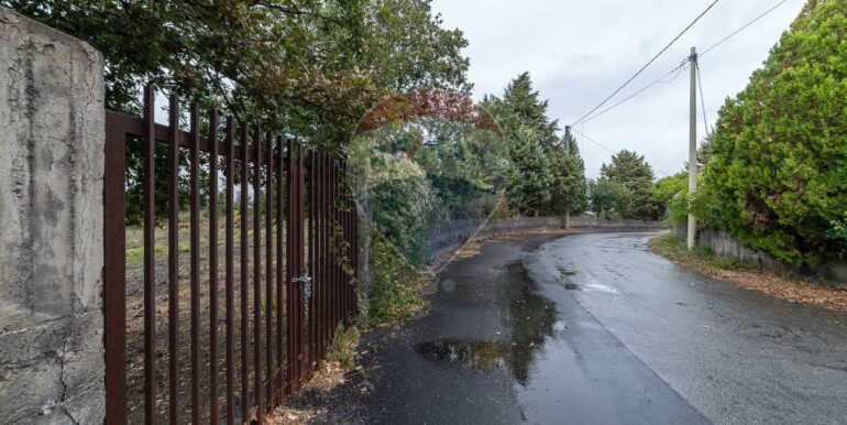 20250925224527-987796-3