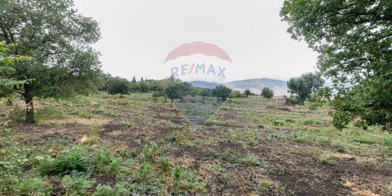 20250925224548-987796-7