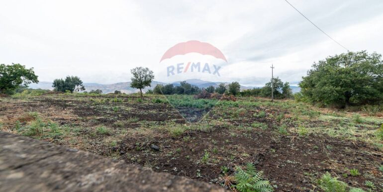 20250925224553-987796-8