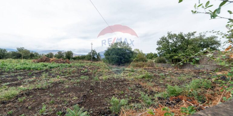 20250925224558-987796-9