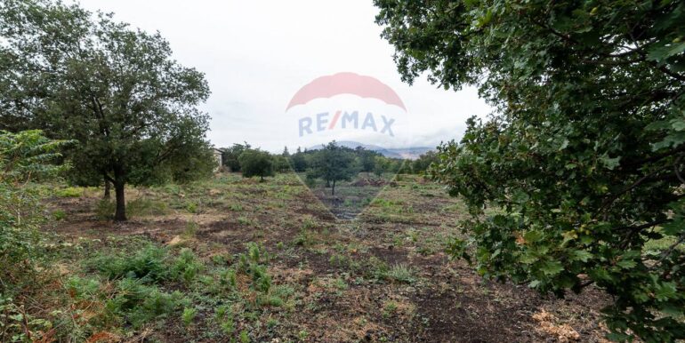 20250925224608-987796-11