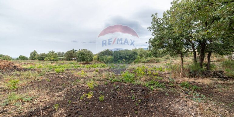 20250925224621-987796-14