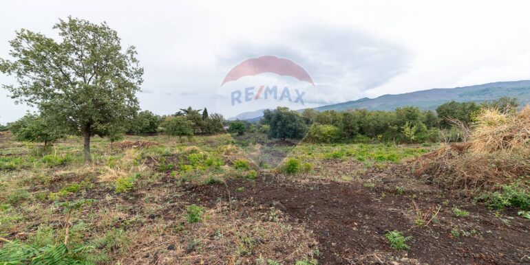 20250925224633-987796-17