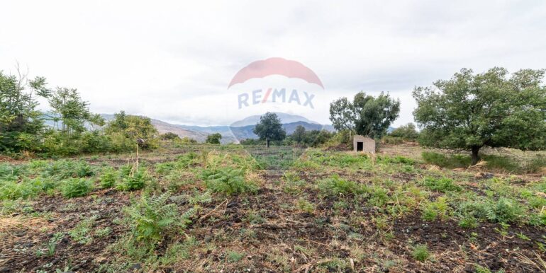 20250925224642-987796-19