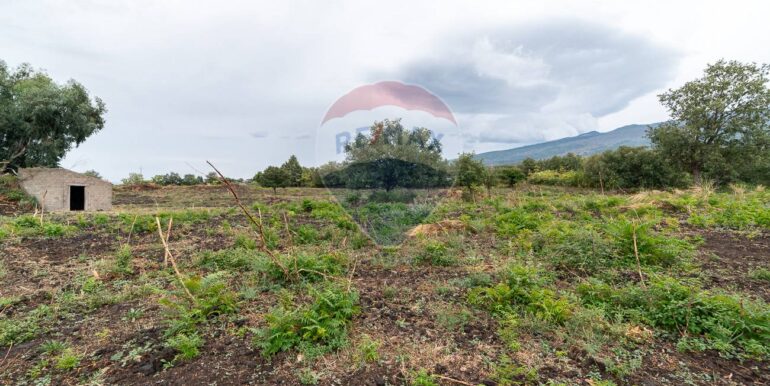 20250925224646-987796-20