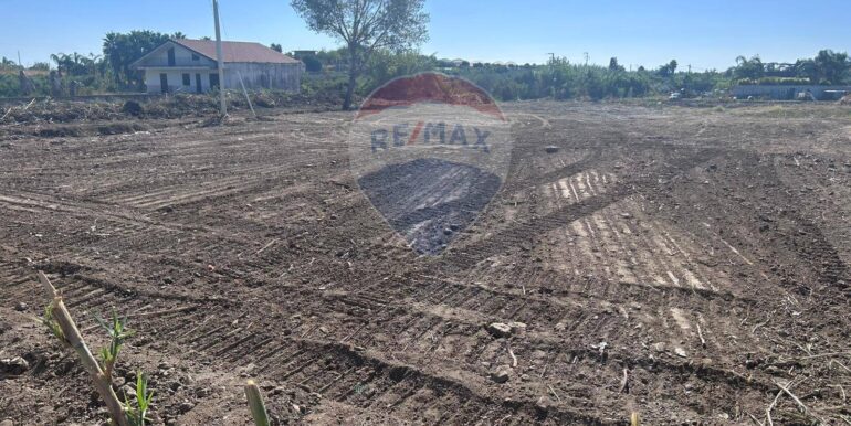 20250930155509-989588-3