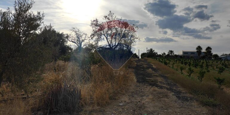 20251001142410-884359-15