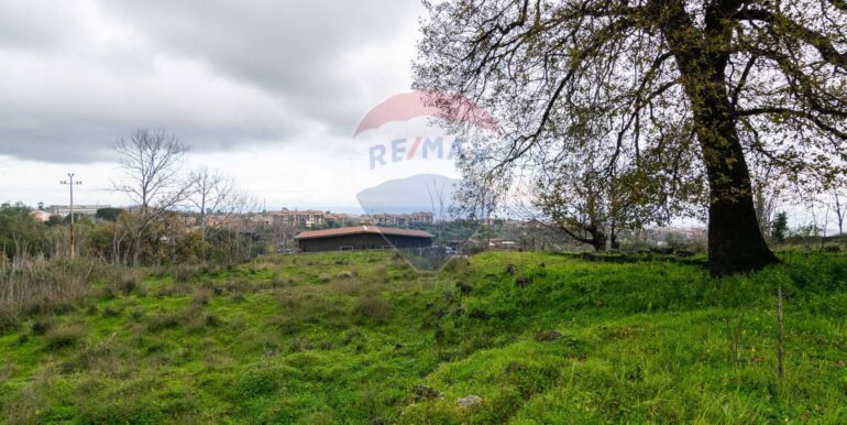 20251001193333-991047-4