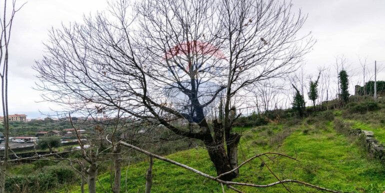 20251001193333-991047-5