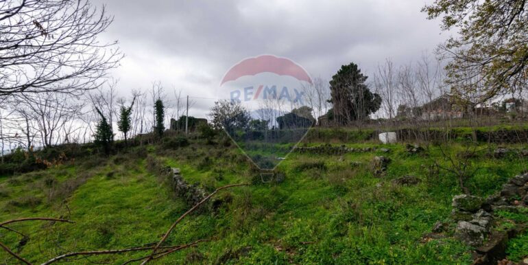 20251001193334-991047-6