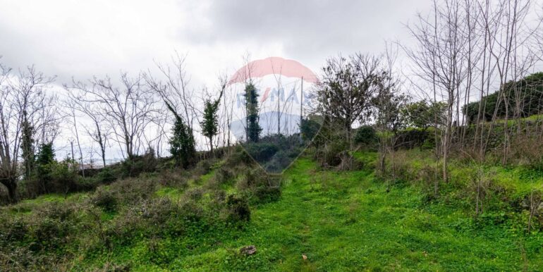 20251001193335-991047-7