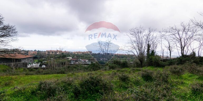 20251001193335-991047-8