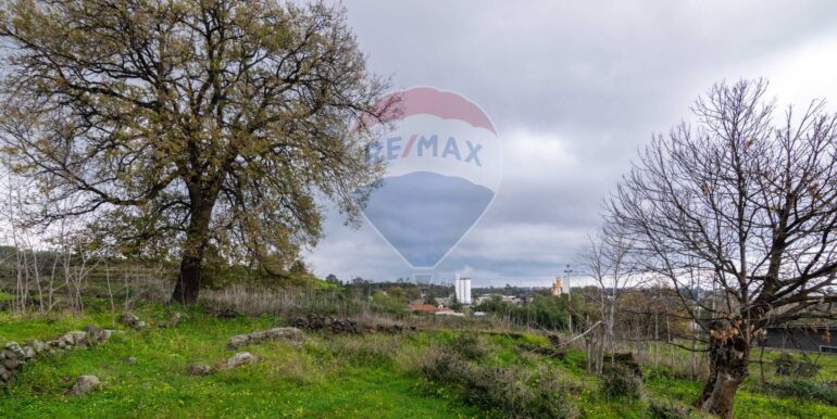 20251001193335-991047-9