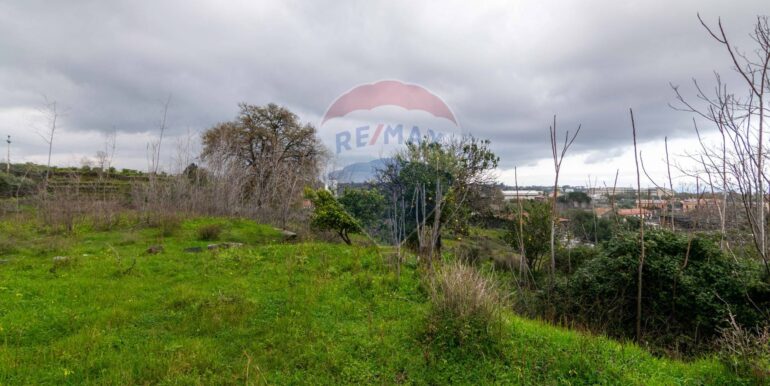 20251001193338-991047-14