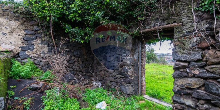 20251001193339-991047-17