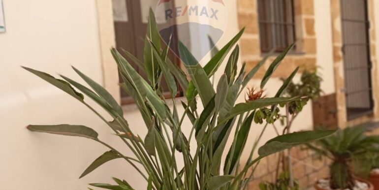 20251002202004-991019-2